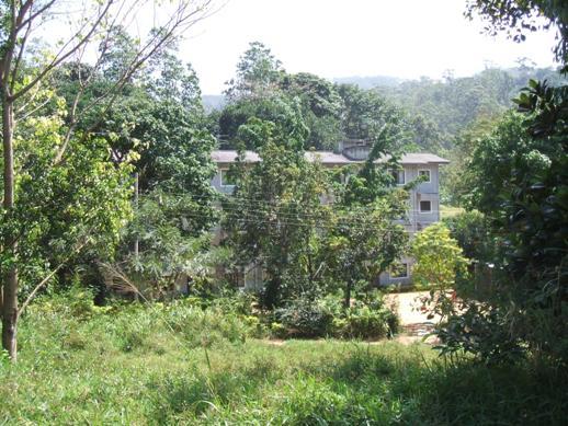 Kandy Apartment for sale/rent